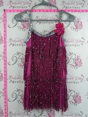Dance dress flipper  Fuchsia Sequin Fringe Costume Dress with Flower Accent